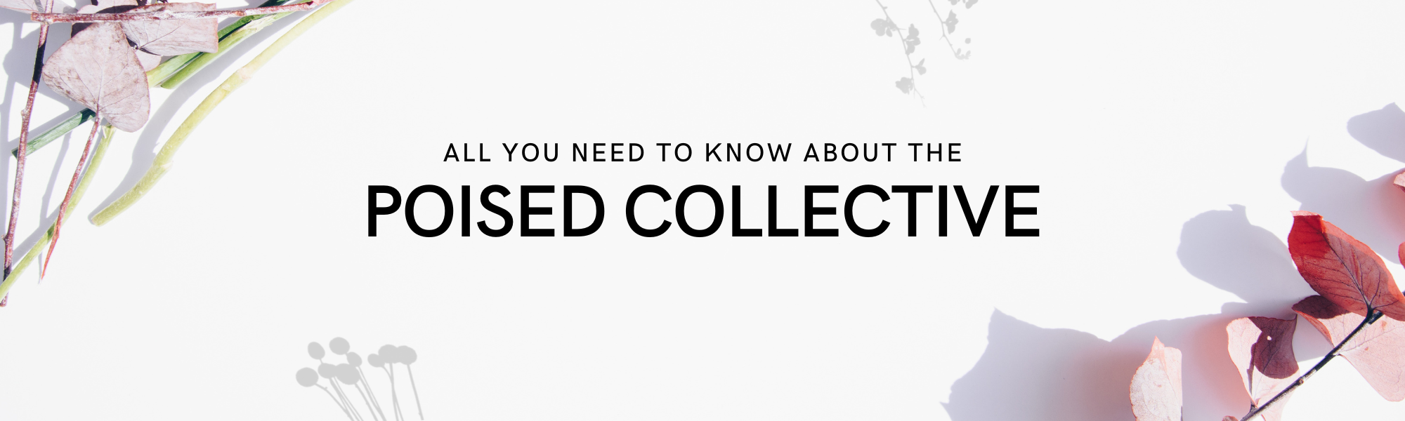 All you need to know about the Poised Collective by Keamogetswe the Poised Minimalist